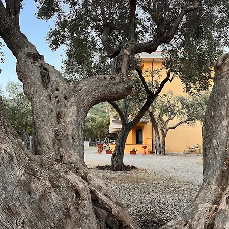 Il Pantheon - Ares アパート Fuscaldo